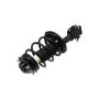 FCS Struts 1332341L Suspension Strut and Coil Spring Assembly