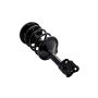 FCS Struts 1332342L Suspension Strut and Coil Spring Assembly