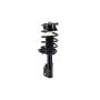 FCS Struts 1332343 Suspension Strut and Coil Spring Assembly
