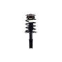 FCS Struts 1332343 Suspension Strut and Coil Spring Assembly