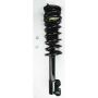 FCS Struts 1332345 Suspension Strut and Coil Spring Assembly