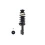 FCS Struts 1332354 Suspension Strut and Coil Spring Assembly