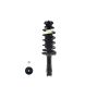 FCS Struts 1332354 Suspension Strut and Coil Spring Assembly