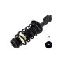 FCS Struts 1332354 Suspension Strut and Coil Spring Assembly