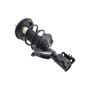 FCS Struts 1332357L Suspension Strut and Coil Spring Assembly