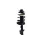FCS Struts 1332363L Suspension Strut and Coil Spring Assembly