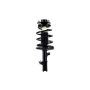 FCS Struts 1332363L Suspension Strut and Coil Spring Assembly