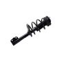 FCS Struts 1332366L Suspension Strut and Coil Spring Assembly