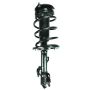 FCS Struts 1332367L Suspension Strut and Coil Spring Assembly
