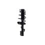 FCS Struts 1332368L Suspension Strut and Coil Spring Assembly