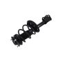 FCS Struts 1332368L Suspension Strut and Coil Spring Assembly