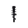 FCS Struts 1332368R Suspension Strut and Coil Spring Assembly