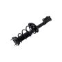 FCS Struts 1332369L Suspension Strut and Coil Spring Assembly
