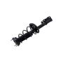 FCS Struts 1332369R Suspension Strut and Coil Spring Assembly