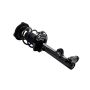 FCS Struts 1333049 Suspension Strut and Coil Spring Assembly
