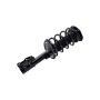 FCS Struts 1333270L Suspension Strut and Coil Spring Assembly
