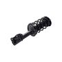 FCS Struts 1333270R Suspension Strut and Coil Spring Assembly