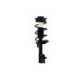 FCS Struts 1333271L Suspension Strut and Coil Spring Assembly