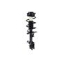 FCS Struts 1333283L Suspension Strut and Coil Spring Assembly