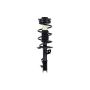 FCS Struts 1333283L Suspension Strut and Coil Spring Assembly