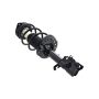 FCS Struts 1333283L Suspension Strut and Coil Spring Assembly