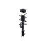 FCS Struts 1333283R Suspension Strut and Coil Spring Assembly