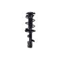 FCS Struts 1333296L Suspension Strut and Coil Spring Assembly