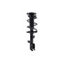 FCS Struts 1333296L Suspension Strut and Coil Spring Assembly