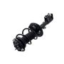 FCS Struts 1333296R Suspension Strut and Coil Spring Assembly
