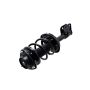 FCS Struts 1333307L Suspension Strut and Coil Spring Assembly