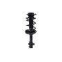FCS Struts 1333307R Suspension Strut and Coil Spring Assembly