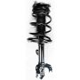 FCS Struts 1333313L Suspension Strut and Coil Spring Assembly