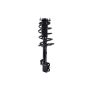 FCS Struts 1333319L Suspension Strut and Coil Spring Assembly