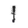 FCS Struts 1333319R Suspension Strut and Coil Spring Assembly
