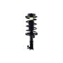 FCS Struts 1333322L Suspension Strut and Coil Spring Assembly
