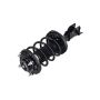 FCS Struts 1333322L Suspension Strut and Coil Spring Assembly
