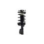 FCS Struts 1333322R Suspension Strut and Coil Spring Assembly
