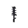 FCS Struts 1333355L Suspension Strut and Coil Spring Assembly