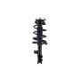 FCS Struts 1333355R Suspension Strut and Coil Spring Assembly
