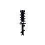 FCS Struts 1333356L Suspension Strut and Coil Spring Assembly
