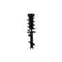 FCS Struts 1333356R Suspension Strut and Coil Spring Assembly
