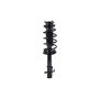 FCS Struts 1333363L Suspension Strut and Coil Spring Assembly