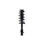 FCS Struts 1333363R Suspension Strut and Coil Spring Assembly