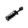FCS Struts 1333365L Suspension Strut and Coil Spring Assembly