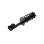 FCS Struts 1333365L Suspension Strut and Coil Spring Assembly