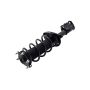 FCS Struts 1333365R Suspension Strut and Coil Spring Assembly
