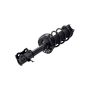 FCS Struts 1333365R Suspension Strut and Coil Spring Assembly