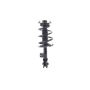 FCS Struts 1333372L Suspension Strut and Coil Spring Assembly