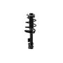 FCS Struts 1333372R Suspension Strut and Coil Spring Assembly