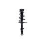 FCS Struts 1333376L Suspension Strut and Coil Spring Assembly